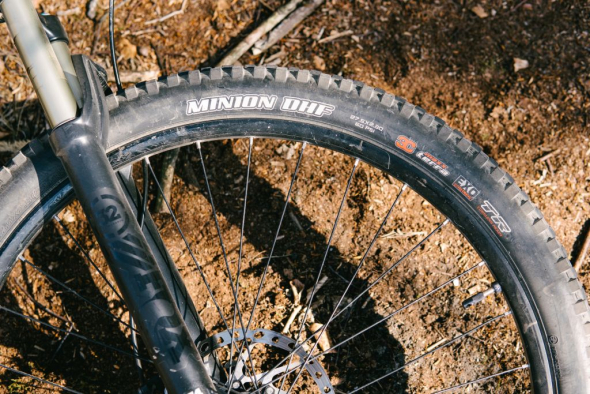 Maxxis Minion DHF in the wild